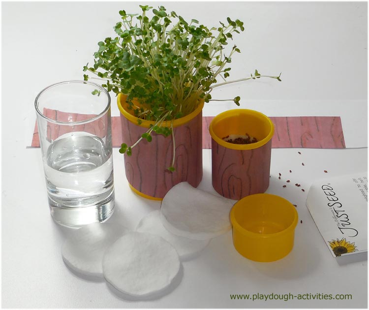 Recycle Play Doh Containers Into Cress Seed Plant Pots